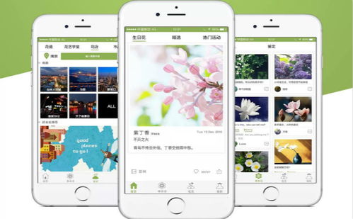 山西花卉種植App開(kāi)發(fā)與成品系統(tǒng)——鄭州專業(yè)軟件解決方案